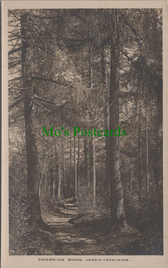 Eggerslack Woods, Grange-Over-Sands, Cumbria