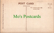 Load image into Gallery viewer, Eggerslack Woods, Grange-Over-Sands, Cumbria
