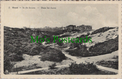 In De Duinen, Heyst, Belgium