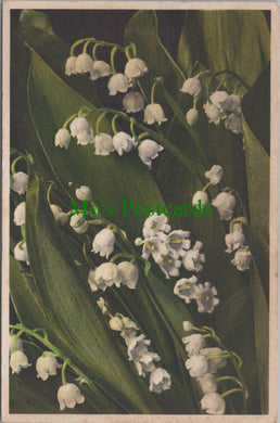 Flowers Postcard - The Mayflower