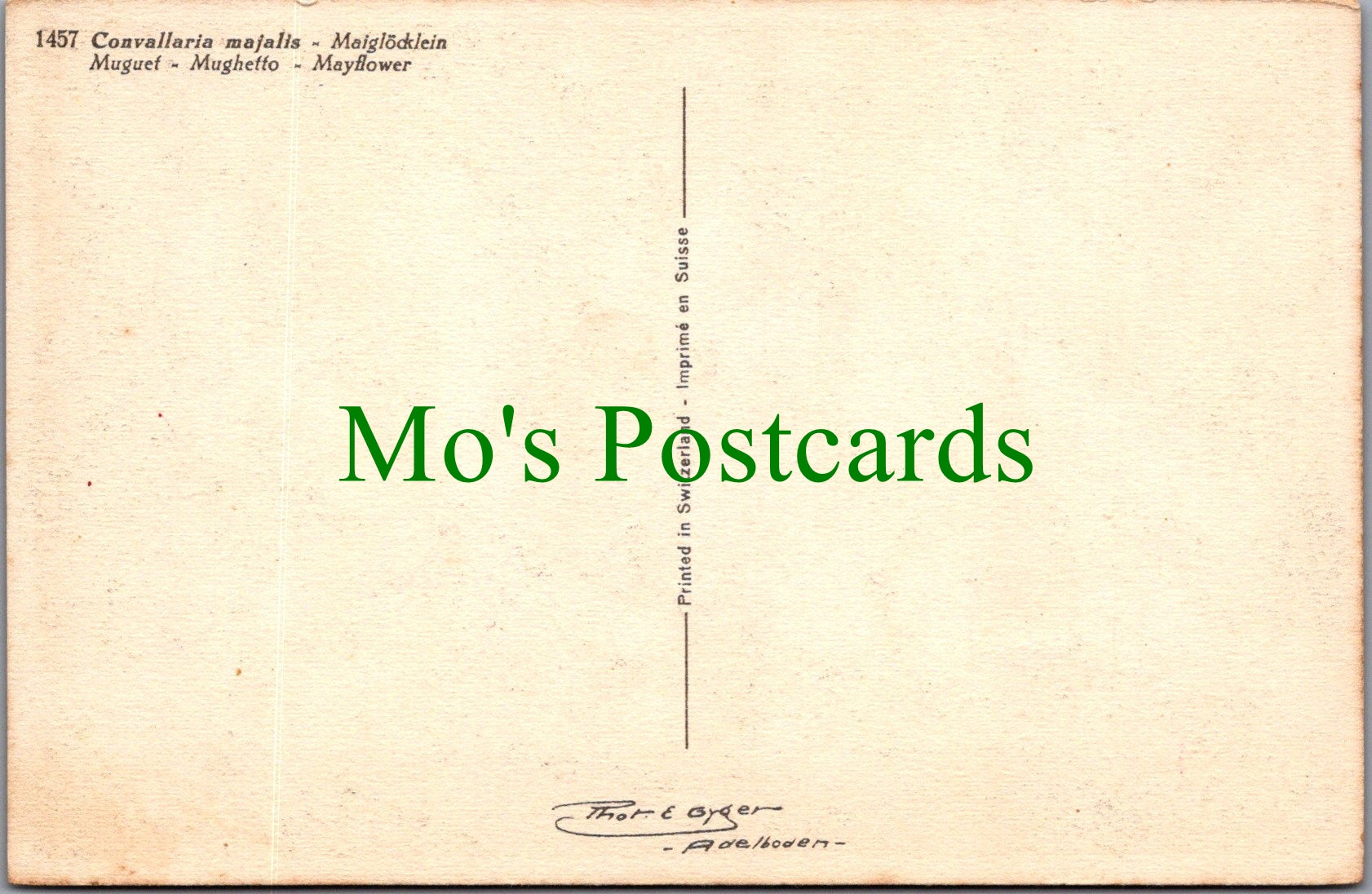 Flowers Postcard - The Mayflower