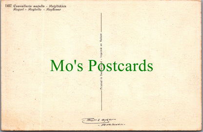 Flowers Postcard - The Mayflower