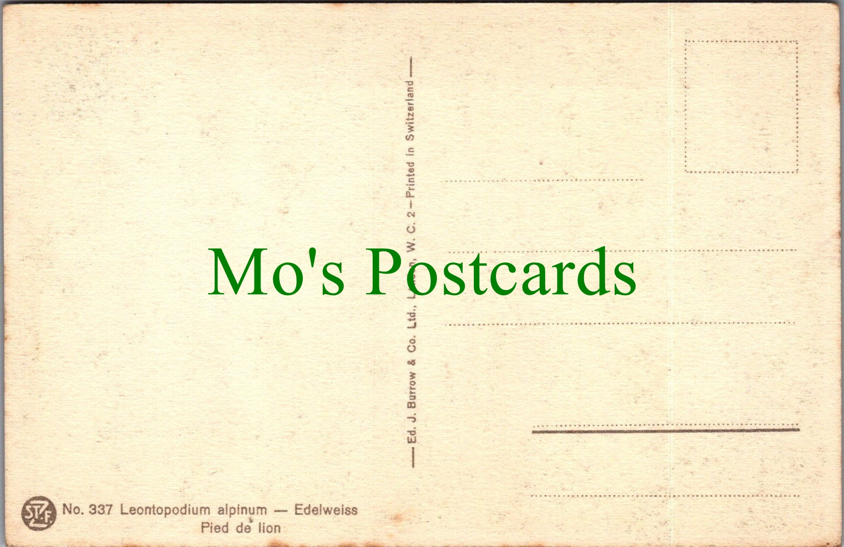 Flowers Postcard - Leontopodium Alpinum