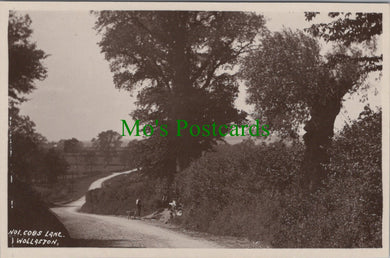 Cobs Lane, Wollaston, Northamptonshire