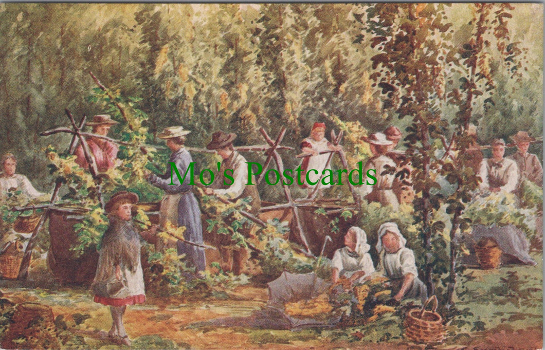Postcard - Hop Garden, Picking The Hops