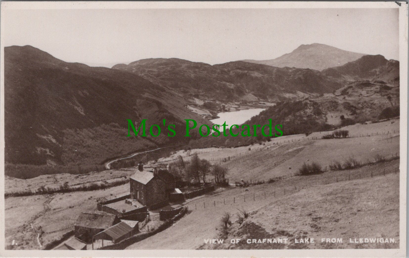 View of Crafnant Lake From Lledwigan