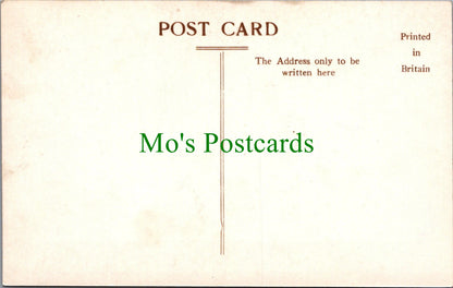 View of Crafnant Lake From Lledwigan