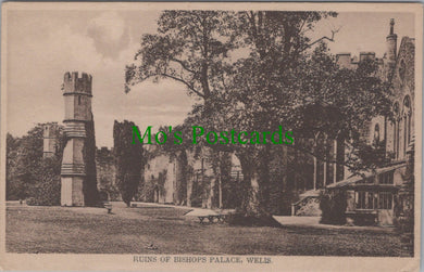 Ruins of Bishops Palace, Wells, Somerset