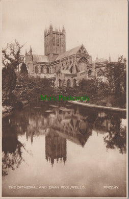 The Cathedral and Swan Pool, Wells, Somerset