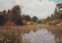 Load image into Gallery viewer, Sussex Postcard - Lake at Sheffield Park Gardens - Mo’s Postcards 
