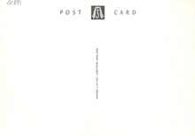 Load image into Gallery viewer, Essex Postcard - St Mary&#39;s Church, Dedham - Mo’s Postcards 
