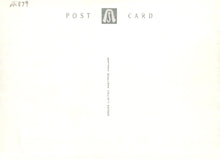 Load image into Gallery viewer, Essex Postcard - Dedham High Street - Mo’s Postcards 
