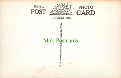 Hampshire Postcard - Bournemouth Road, Near Lyndhurst, New Forest - Mo’s Postcards 