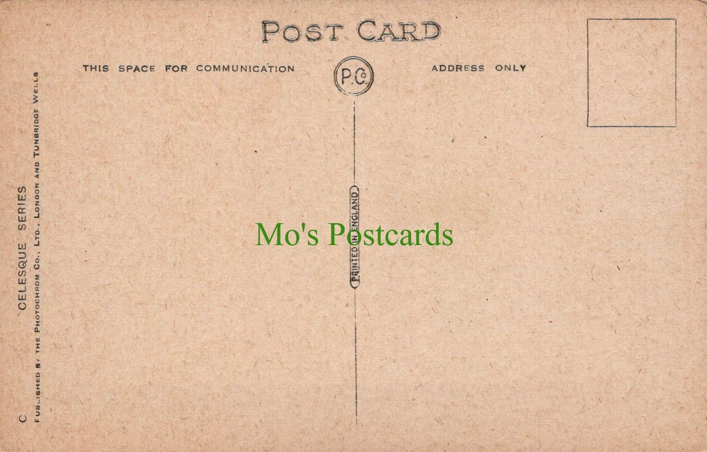 Hampshire Postcard - Winchester Cathedral - The Great Screen - Mo’s Postcards 
