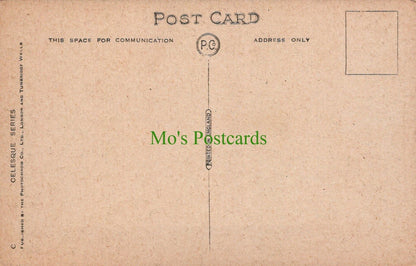 Hampshire Postcard - Winchester Cathedral - The Great Screen - Mo’s Postcards 