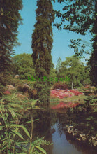 Load image into Gallery viewer, Hampshire Postcard - Middle Pond, Exbury Gardens - Mo’s Postcards 
