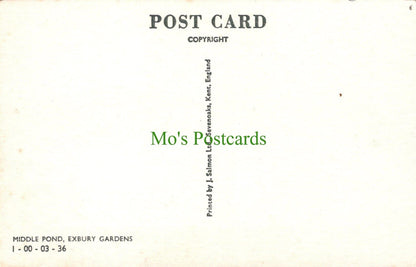 Hampshire Postcard - Middle Pond, Exbury Gardens - Mo’s Postcards 