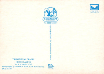 Traditional Crafts Postcard - Hedge Laying - Mo’s Postcards 