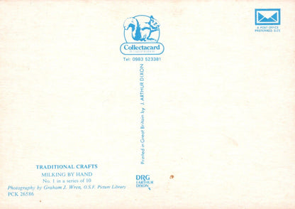 Traditional Crafts Postcard - Cows - Milking By Hand - Mo’s Postcards 