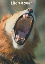 Load image into Gallery viewer, Animals Postcard - Wild Animals - Lion - Life&#39;s a Yawn! - Mo’s Postcards 
