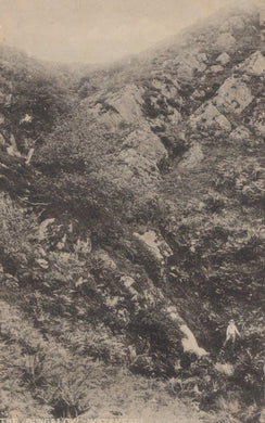 Cheshire Postcard - Mostyn House School, Parkgate - The Bungalow Waterfall - Mo’s Postcards 