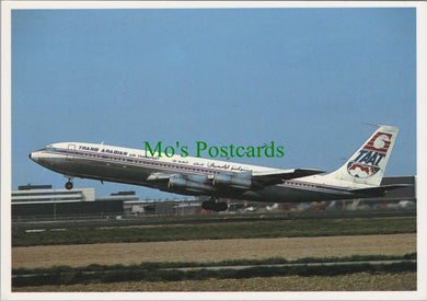 Aviation Postcard - Trans Arabian Air Transport