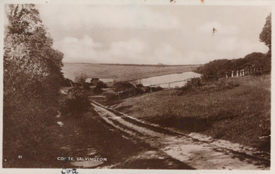 Sussex Postcard - Coote (Coate), Salvington - Mo’s Postcards 
