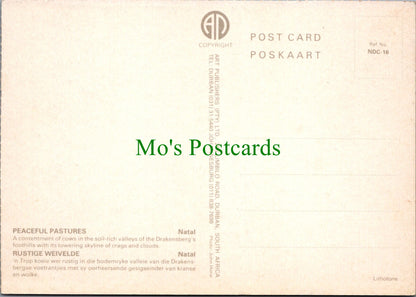 Drakensberg Foothills, South Africa